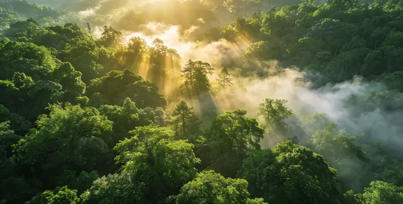 福州肺癌11基因检测组织版图片1